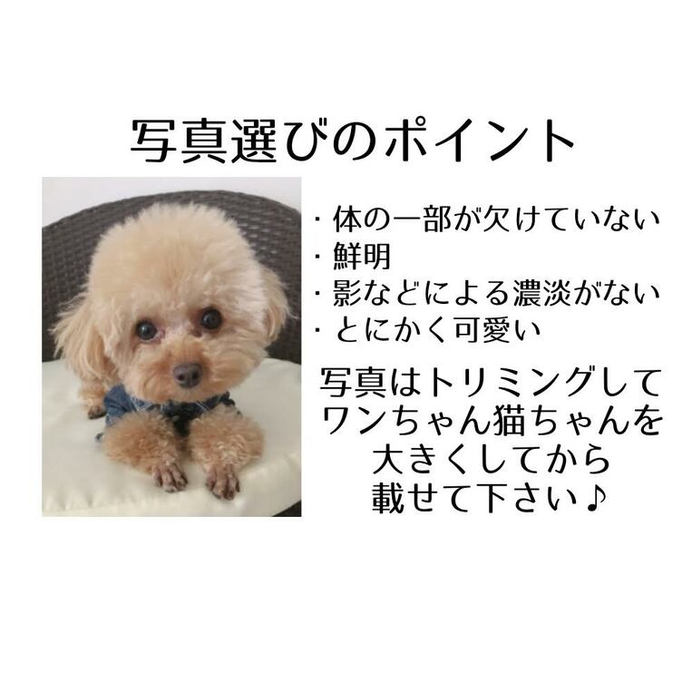 I♡うちの子2wayトート お散歩バッグ | TanoMake(タノメイク