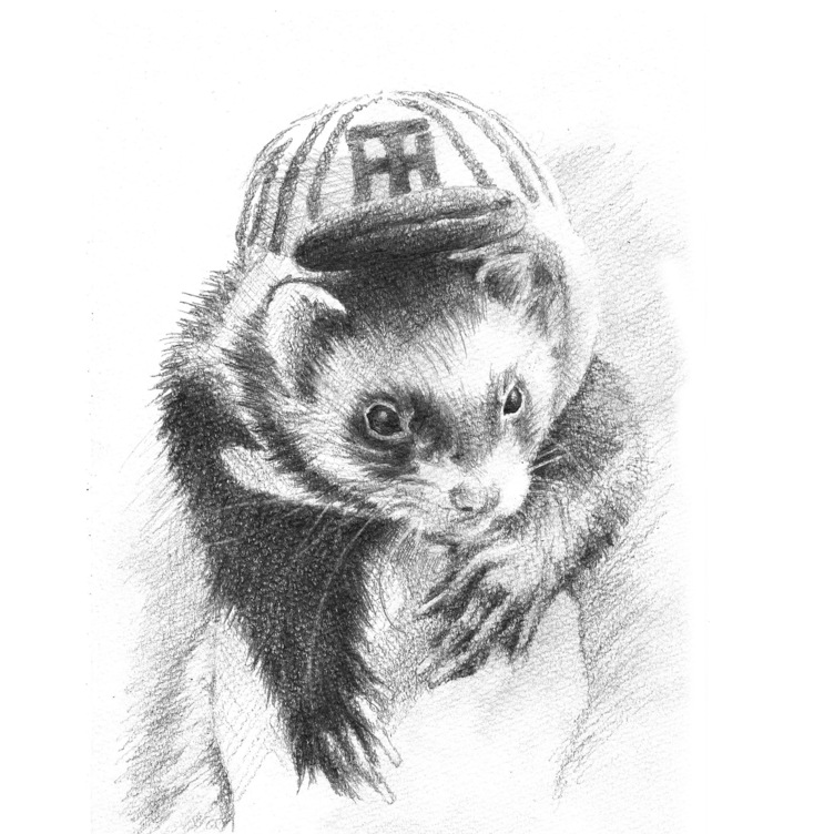 ペット鉛筆画 精密デッサン | TanoMake(タノメイク) | 欲しいものが