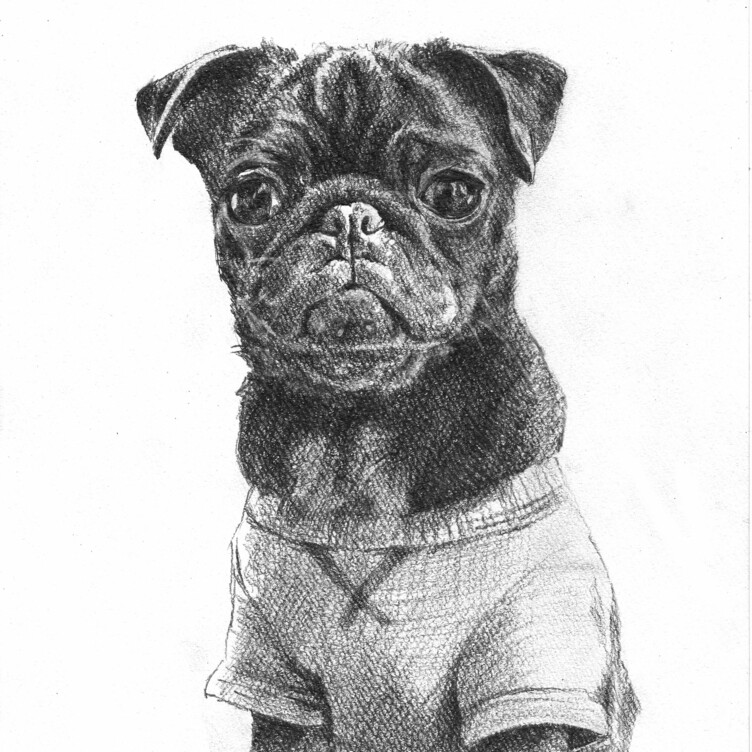 ペット鉛筆画 精密デッサン | TanoMake(タノメイク) | 欲しいものが