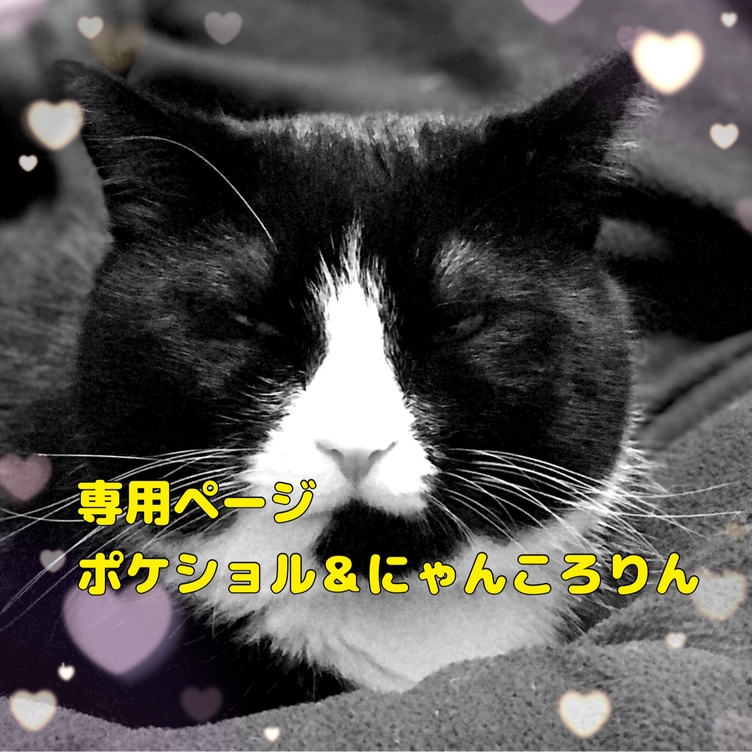 【専用ページ】薔薇と黒猫　ポケットショルダーバッグ＆にゃんころりん