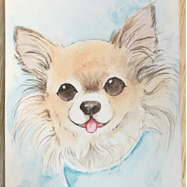 ペット似顔絵(色鉛筆.パステル.水彩画)お顔のみ | TanoMake(タノメイク