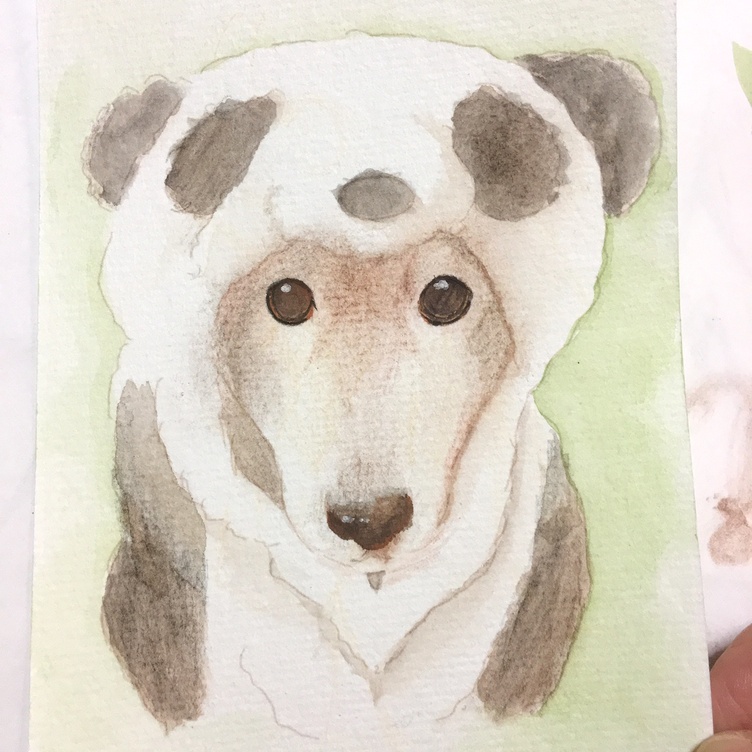 ペット似顔絵(色鉛筆.パステル.水彩画)お顔のみ | TanoMake(タノメイク