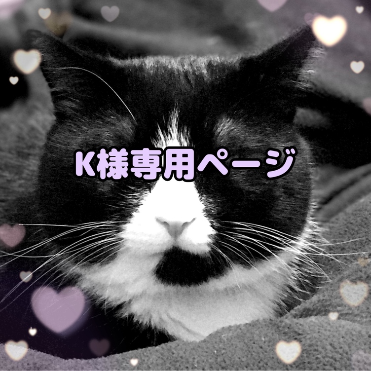 専用ページ　　即納品　黒猫と牡丹がま口お薬手帳入れ