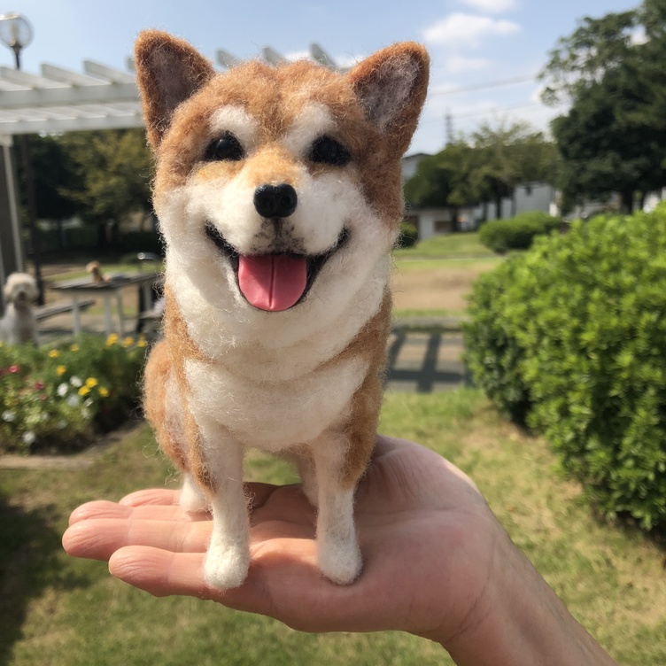 愛犬ちゃんのそっくりなリアルなペット人形をお作りします！ 羊毛