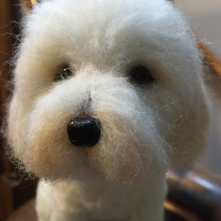 愛犬ちゃんのそっくりなリアルなペット人形をお作りします！ 羊毛