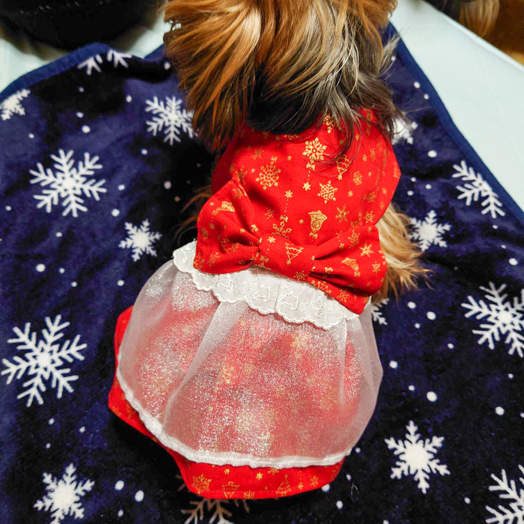 着せやすい犬服🎄クリスマスワンピース🎄オーメイドで！