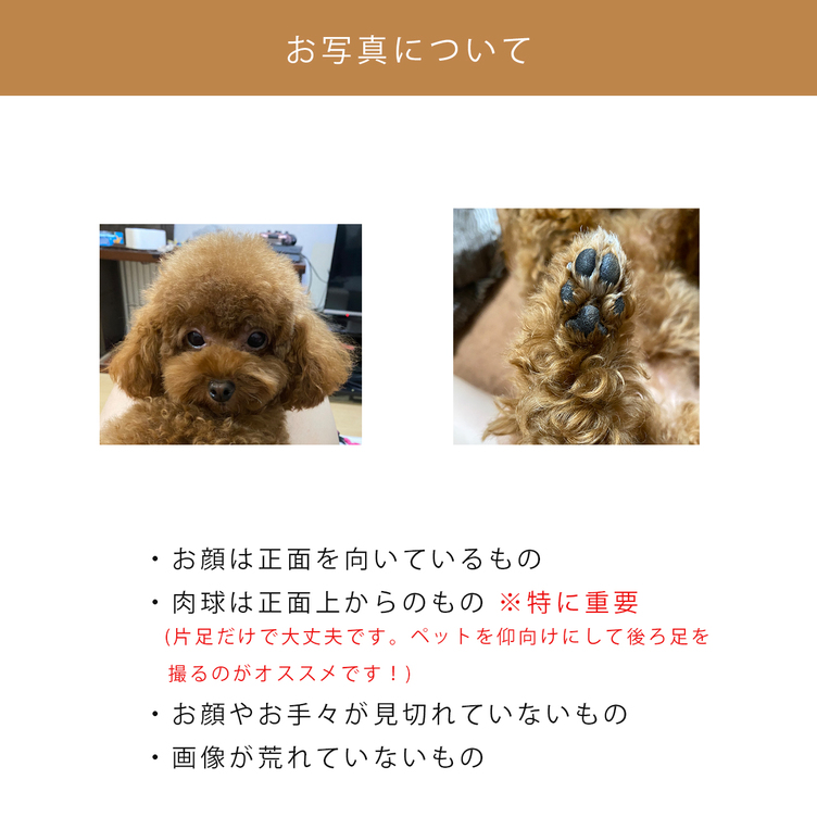 うちの子 肉球 犬 猫 ペット スマホケース Iphone Android Tanomake タノメイク 欲しいものが頼めるオーダーメイド特化型オンラインマーケット