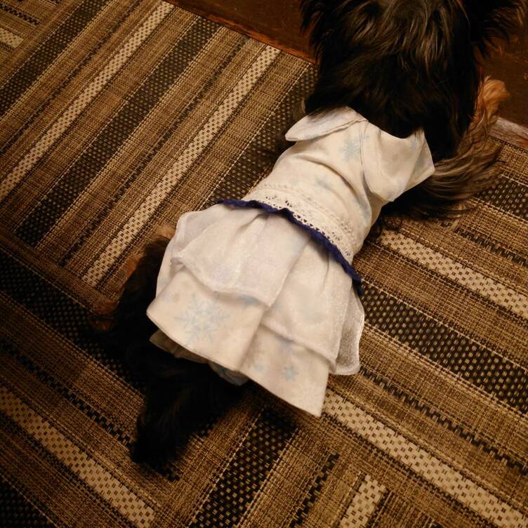 犬服 SS わんこの普段着　雪の結晶 着せやすい犬服❄️雪の結晶ワンピース❄️オーダーメイドで