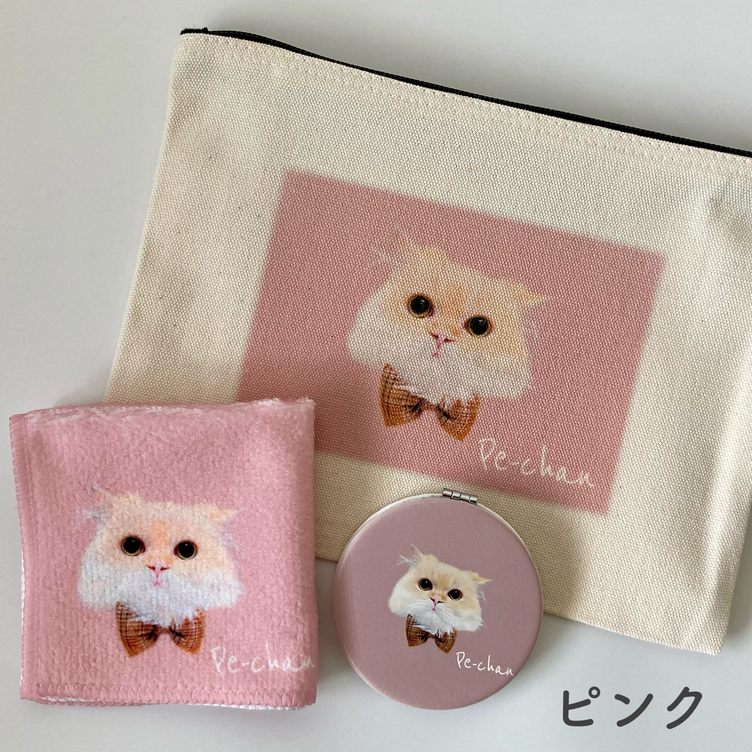 うちの子ギフトセット （コンパクトミラー・タオルハンカチ