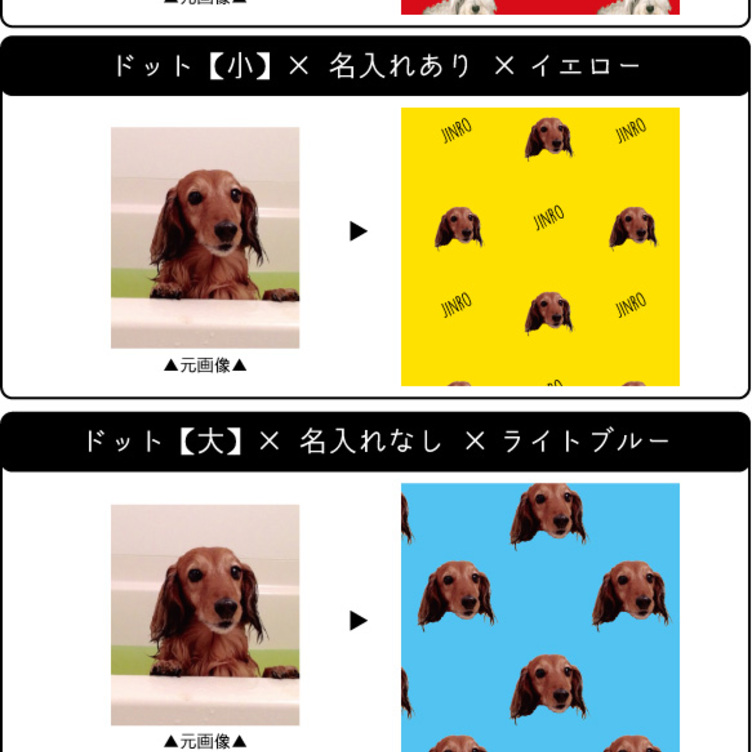 写真からつくるオーダーメイドブランケット」昇華プリント ソフト