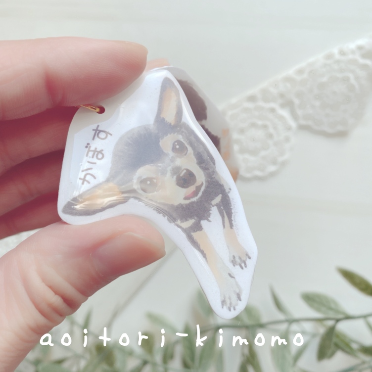 image?thumbnail=medium