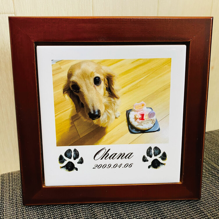 ワンちゃん　BIG タイルアート　世界に一つだけ ワンちゃん BIG タイルアート 世界に一つだけ