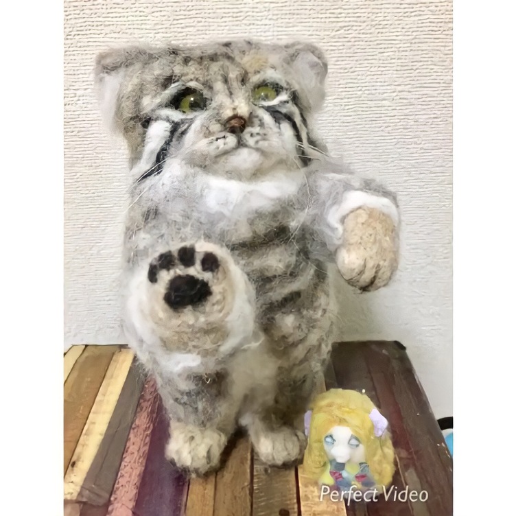 受注制作☆羊毛フェルトのマヌルネコの招き猫 | TanoMake