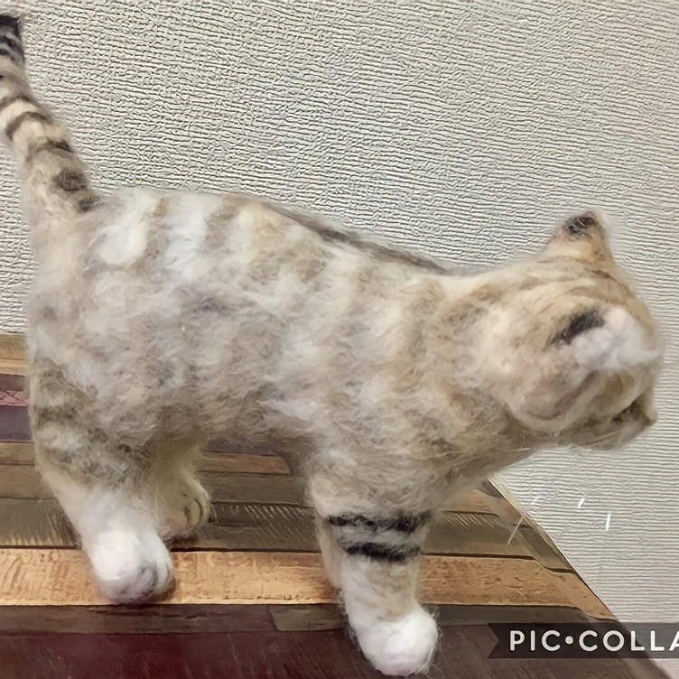 受注制作☆羊毛フェルトのスナネコ赤ちゃん | TanoMake