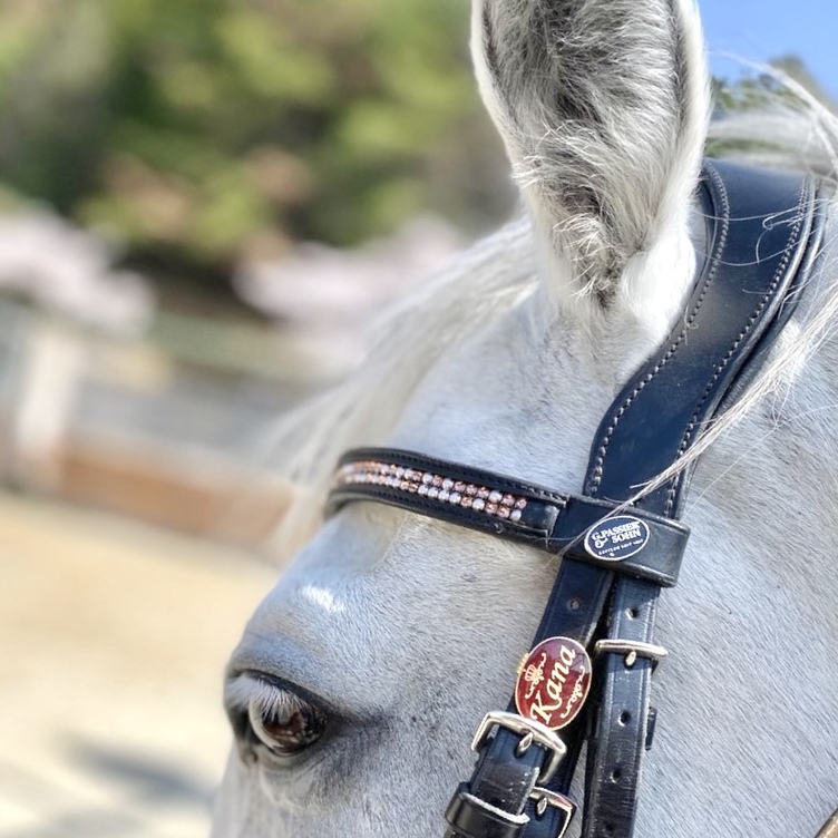 ネームプレート イメージ れに＊確認用 ライブディオ ライブディオZX キック部分の