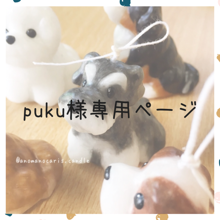 puku様専用ページ