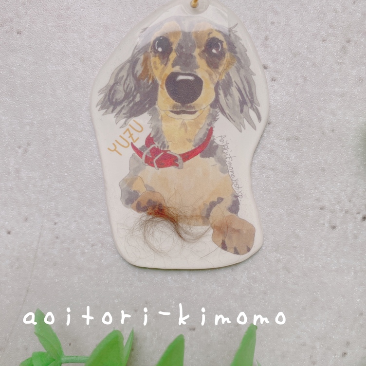 ペットの毛を入れた似顔絵キーホルダー原画セット | TanoMake