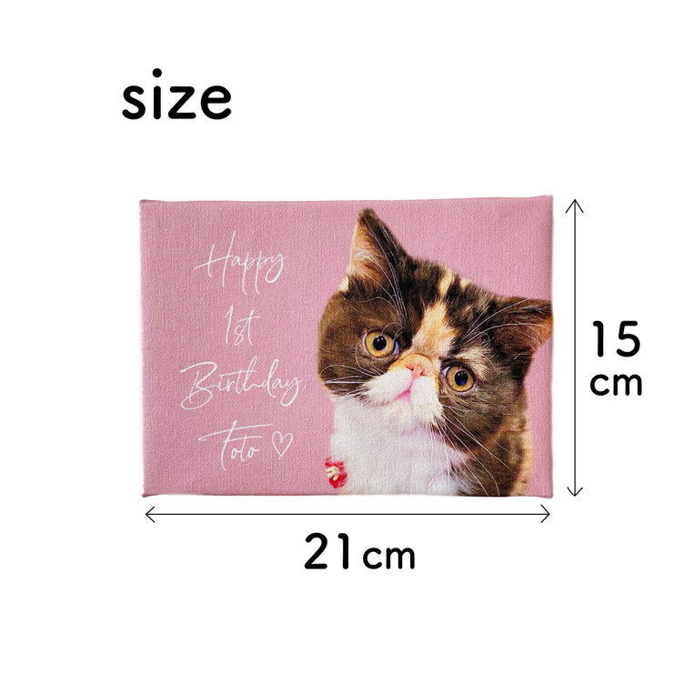 ♡女の子と動物パネルのオーダーページ✨ 木のパズル なかよしどうぶつ 知育玩具 木のおもちゃ GENI