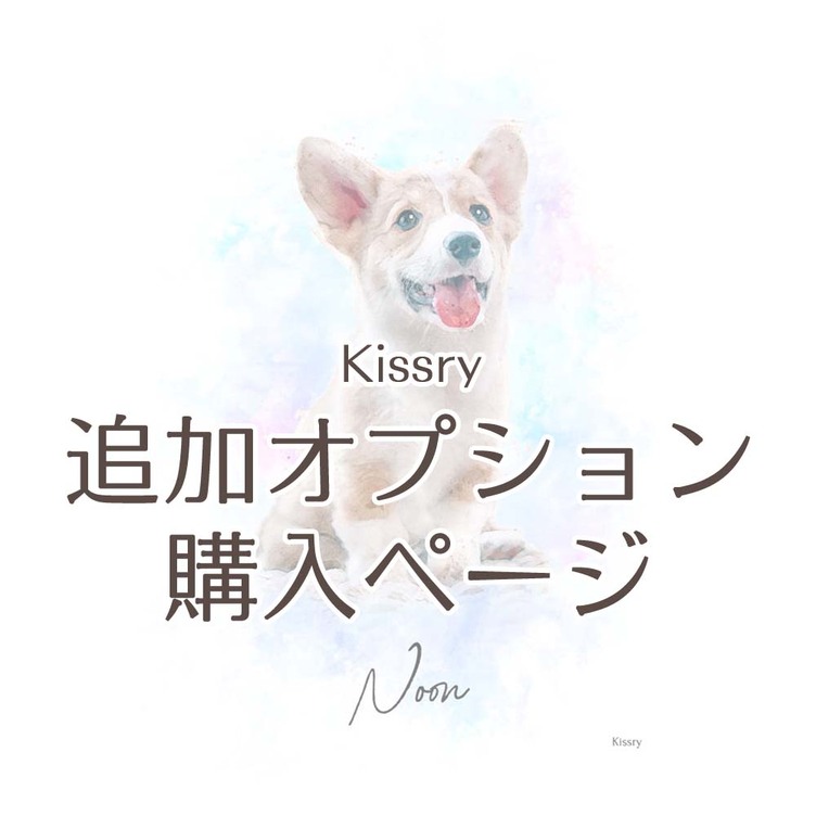 追加オプション購入ページ Kissry