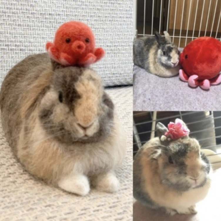 オーダーメイド】【Lサイズ】羊毛フェルト うさぎ ペット うちの子