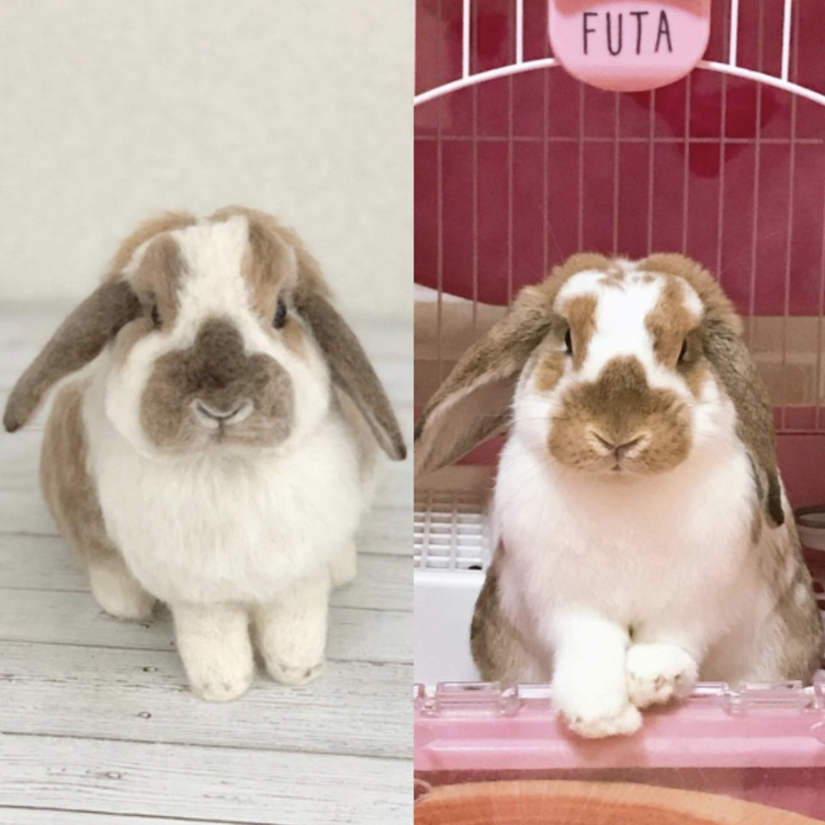 オーダーメイド】【Mサイズ】羊毛フェルト うさぎ ペット うちの
