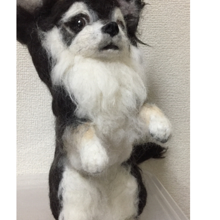 受注制作☆羊毛フェルトのチワワ | TanoMake(タノメイク 受注制作☆羊毛フェルトのチワワ | TanoMake(タノメイク