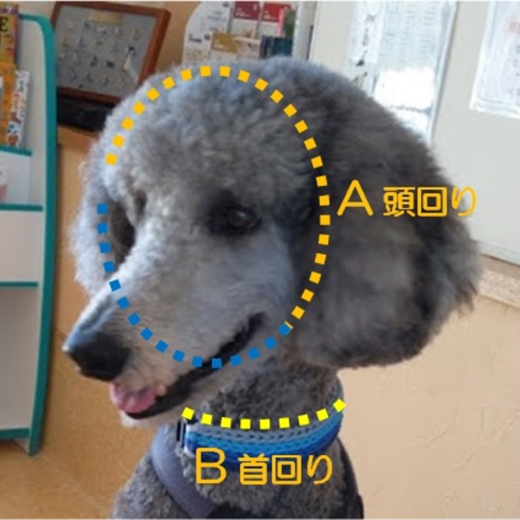 ３色編み込みチェーンタイプのハーフチョーク　大型犬用（首回り４０cm、頭まわり５０ｃｍ）お揃いのリードもあります　