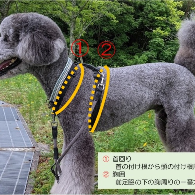 大型犬用 二点フック、ガッチリハーネス (首回り６０ｃｍ 胸回り