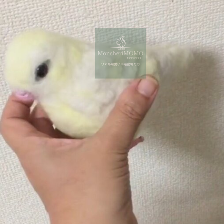 羊毛フェルトのサザナミインコ | TanoMake(タノメイク) | 欲しいものが頼めるオーダーメイド特化型オンラインマーケット