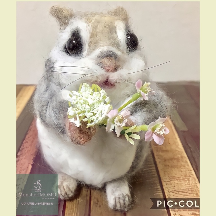 【お買得】 羊毛フェルトのエゾモモンガ | TanoMake(タノメイク) | 欲しい 羊毛フェルト
