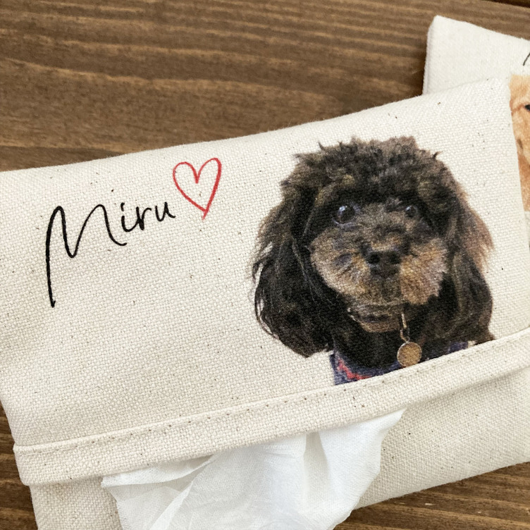 うちの子ポケットティッシュケース オーダーメイド | TanoMake