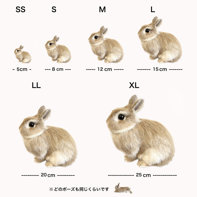 オーダーメイド】【Mサイズ】羊毛フェルト うさぎ ペット うちの オーダーメイド】【Mサイズ】羊毛フェルト うさぎ ペット うちの