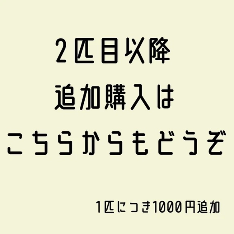 2匹目以降追加オプション