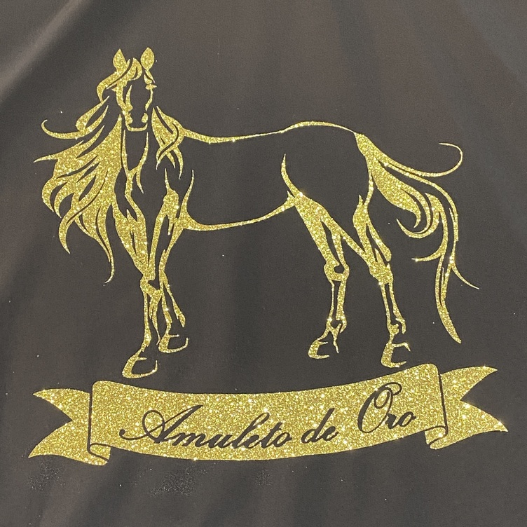 功成名馬 刺繍 掛軸 金色フレーム 馬着加工】（刺繍／プリント／ワッペン） | TanoMake(タノメイク