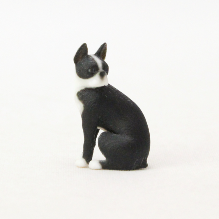  Partner's ボストン・テリア