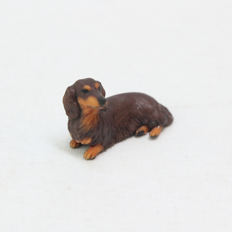pinpin111ダックスフンド model：つくし 犬種：ミニチュアダックスフンド 撮影：2020/12
