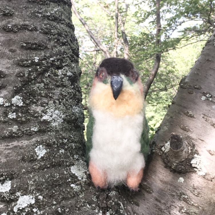 羊毛フェルトのインコ オーダーメイド | TanoMake(タノメイク 羊毛フェルトのインコ オーダーメイド | TanoMake(タノメイク