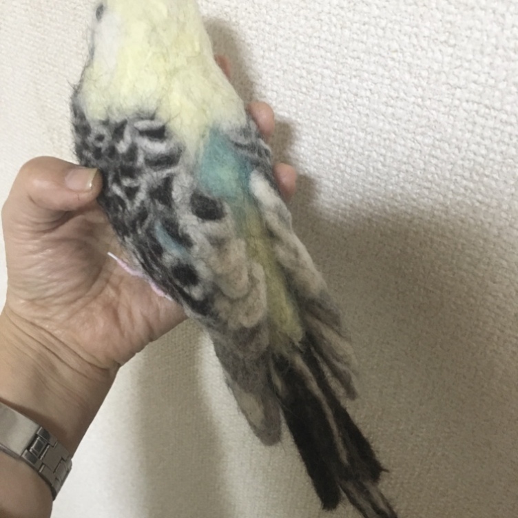 羊毛フェルトのインコ　オーダーメイド