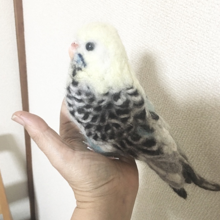 羊毛フェルトのインコ オーダーメイド | TanoMake(タノメイク