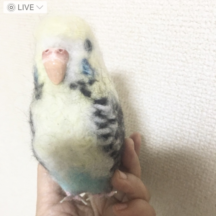 羊毛フェルトのインコ オーダーメイド | TanoMake(タノメイク