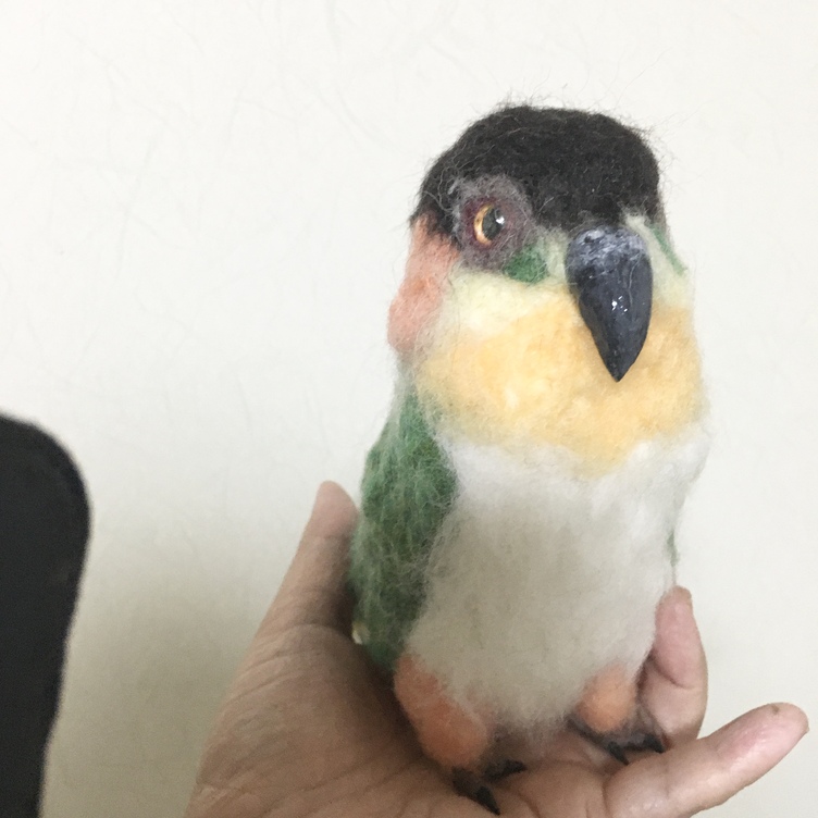 羊毛フェルトのインコ オーダーメイド | TanoMake(タノメイク 羊毛フェルトのインコ オーダーメイド | TanoMake(タノメイク
