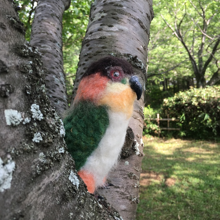 羊毛フェルトのインコ オーダーメイド | TanoMake(タノメイク