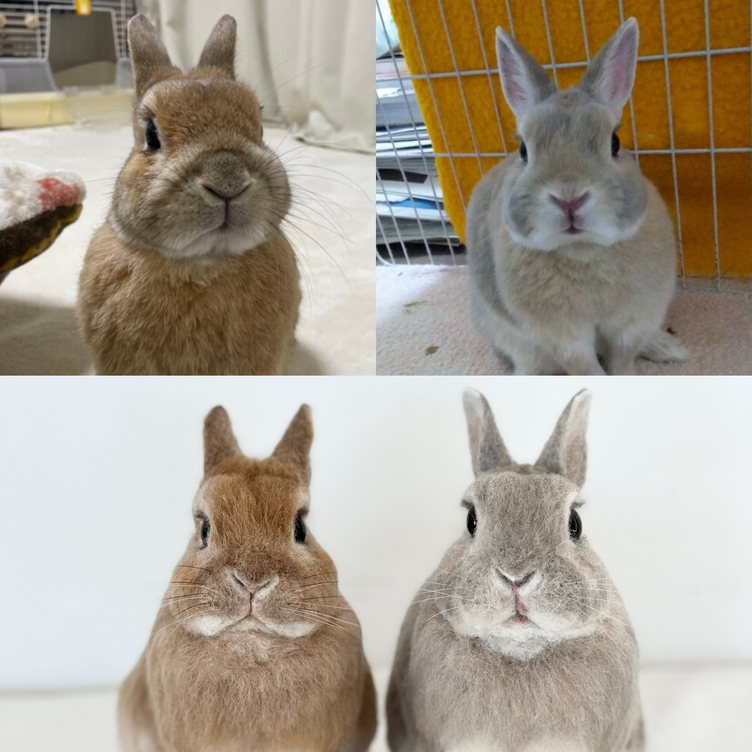 オーダーメイド】【Mサイズ】羊毛フェルト うさぎ ペット うちの オーダーメイド】【Mサイズ】羊毛フェルト うさぎ ペット うちの
