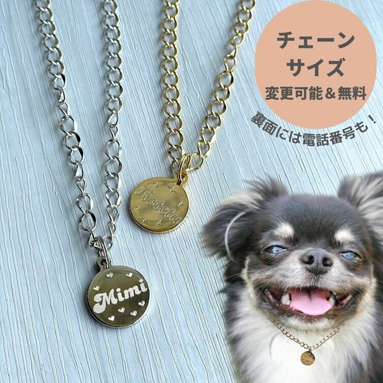 犬 迷子札 ネックレス チェーン ネームプレート コインネックレス 首輪