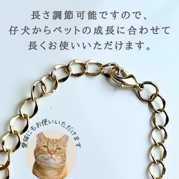 猫 お名前入り 首輪 頂け オーダーメイド 犬