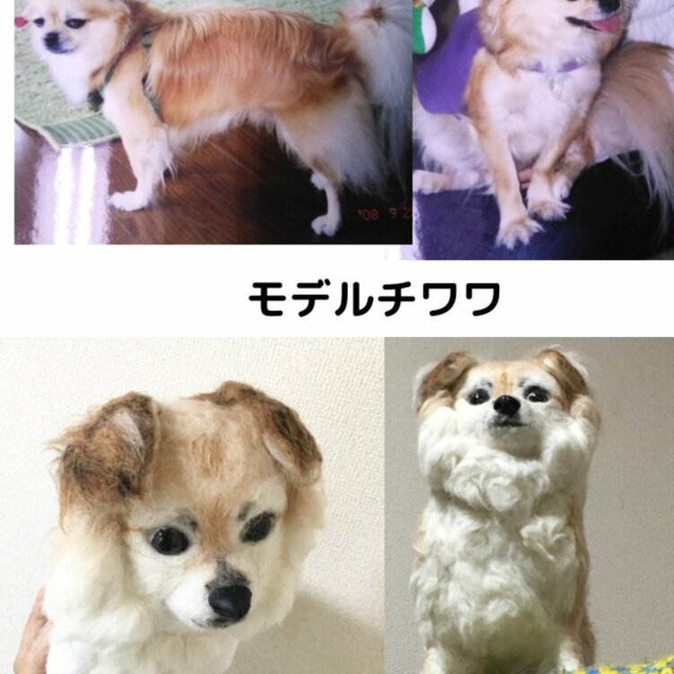 羊毛フェルト　おすましチワワちゃん　送料無料 ⭐︎完成品⭐︎チワワちゃん羊毛フェルト - Famille preciseuse