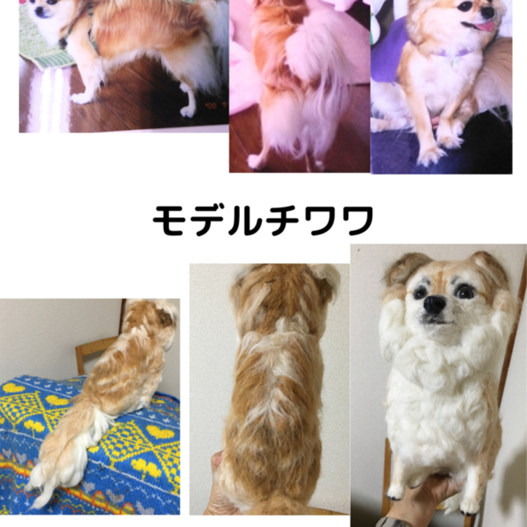 tom様専用☆オーダーページ 羊毛フェルト チワワ 犬-