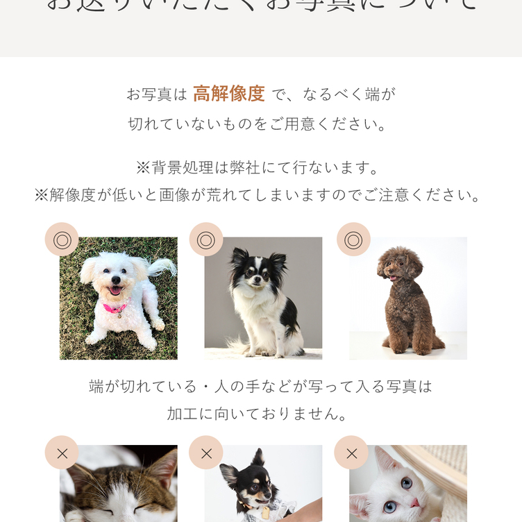 オーダーメイド〉うちの子名刺 100枚 ペット 犬 猫 写真 うちのこ いぬ ねこ イヌ ネコ 愛犬 愛猫 思い出 名刺 メモリアル オーダー  オリジナル ドックラン お写真 記念品 ギフト プレゼント 贈り物 おしゃれ オシャレ 可愛い かわいい オフ会 お友達 | TanoMake ...