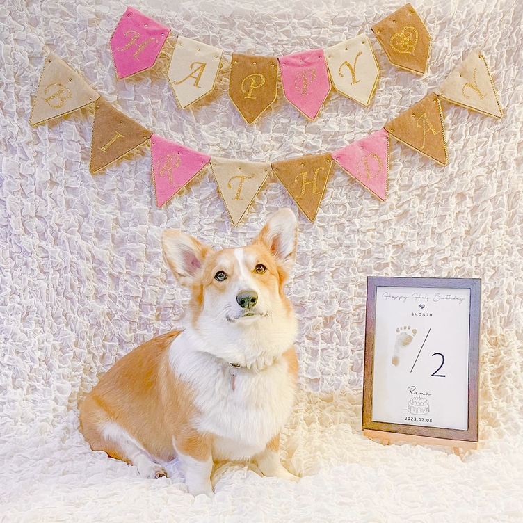 エレガントなガーランド | TanoMake(タノメイク) | 欲しいものが頼める