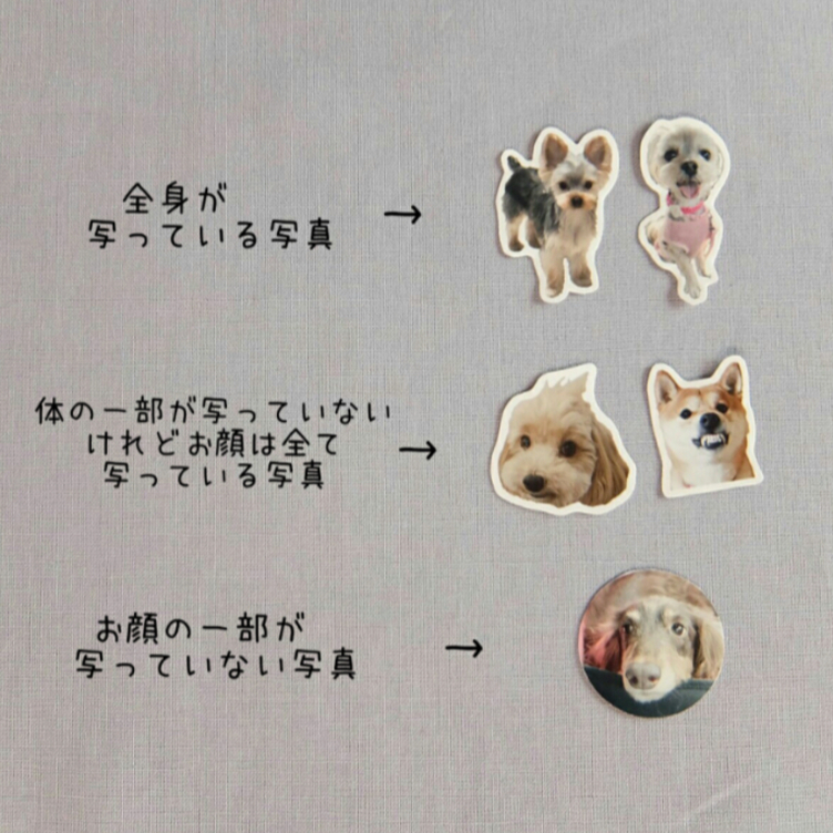 うちの子フレークシール 光沢紙 犬 猫 うさぎ 写真 オーダーメイド 名入れ プレゼント ペット Tanomake タノメイク 欲しいものが頼めるオーダーメイド特化型オンラインマーケット